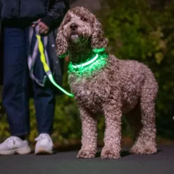 Nomad Tales Spirit USB LED -lenkkeilyihihna neonkeltainen & harmaa