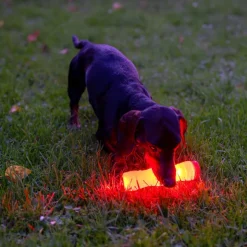 Nomad Tales Spirit USB LED -luu