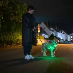 Nomad Tales Spirit USB LED -nailonkaulapanta, neonkeltainen ja harmaa