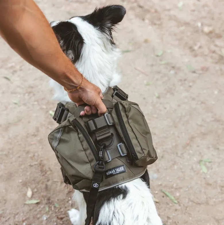 Nomad Tales Tactical -koiravaljaat