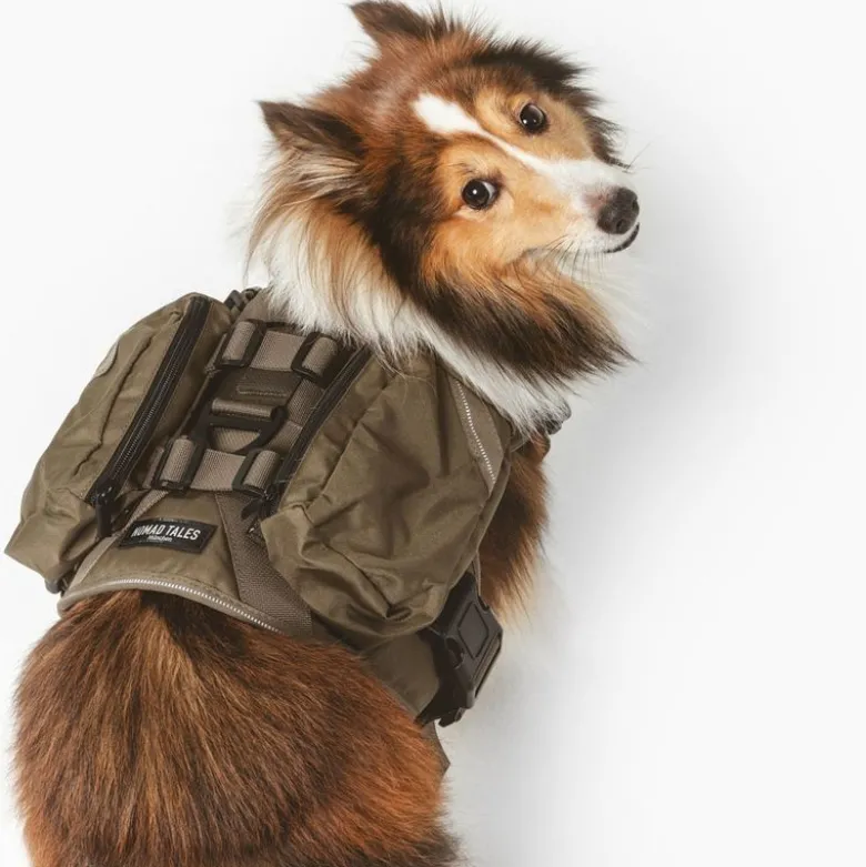 Nomad Tales Tactical -koiravaljaat