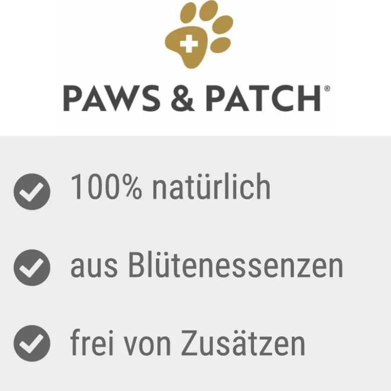PAWS & PATCH pelko ja epävarmuus