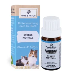 PAWS & PATCH stressaavat tilanteet