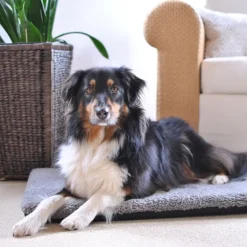 Pawz & Pepper Aurora Ortho -koiranpatja