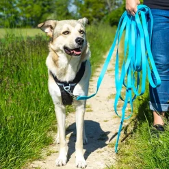 Pawz & Pepper Strong -jälkiliina, sininen