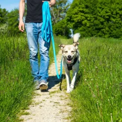 Pawz & Pepper Strong -jälkiliina, sininen