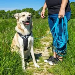 Pawz & Pepper Strong -jälkiliina, sininen