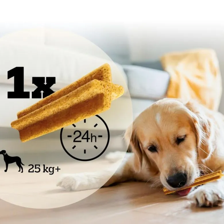 Pedigree Dentastix Light: hammashoitoherkut suurille koirille (>25 kg)