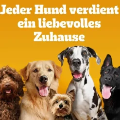 Pedigree Ranchos Maxi -täytetyt pururullat