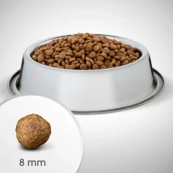 Perfect Fit Adult Small Dogs (<10 kg)
