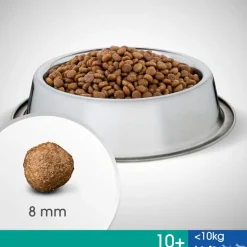 Perfect Fit Senior Small Dogs (<10 kg)