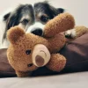 Petlando Moodles nalle