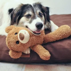 Petlando Moodles nalle
