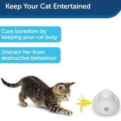 PetSafe® Peek-a-Bird elektroninen kissanlelu
