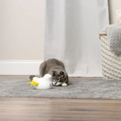 PetSafe® Peek-a-Bird elektroninen kissanlelu