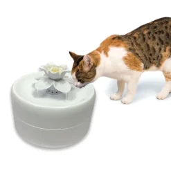 Pioneer Pet Magnolia -juoma-automaatti