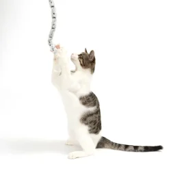 Plush Tail -onkilelu