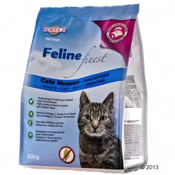 Porta 21 Feline Finest Cats Heaven