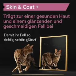 PRO PLAN Cat Adult & Senior Skin and Coat Supplement -öljy