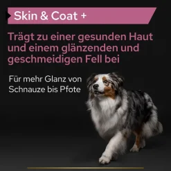PRO PLAN Dog Adult Skin and Coat Supplement -öljy