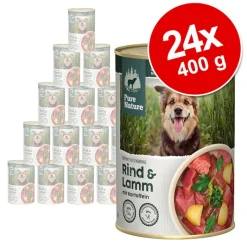 Pure Nature Adult -säästöpakkaus 24 x 400 g