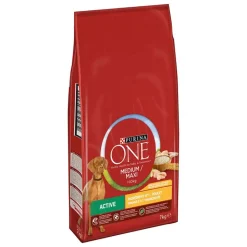 Purina One Medium/Maxi Active -kana