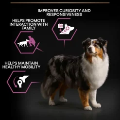 PURINA PRO PLAN Medium & Large Adult 7+ Age Defence