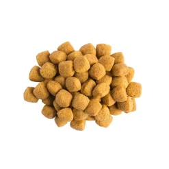 Purina Pro Plan Veterinary Diets - EN Gastrointestinal