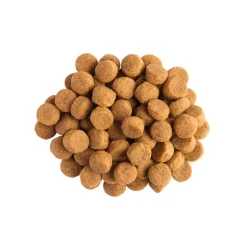 Purina Pro Plan Veterinary Diets - JM Joint Mobility