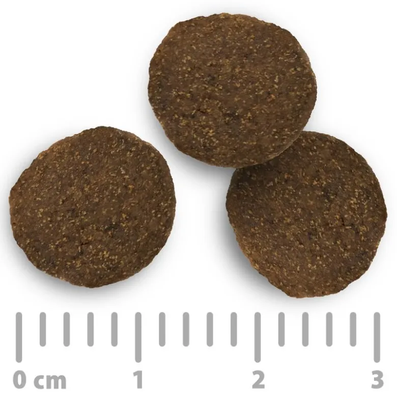 Purizon Adult kana & kala - viljaton
