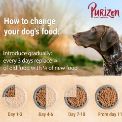 Purizon Adult lammas & lohi - viljaton