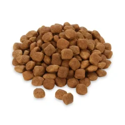 Rocco Diet Care Gastro Intestinal kana -kuivaruoka