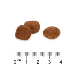 Rocco Diet Care Hypoallergen hevonen -kuivaruoka