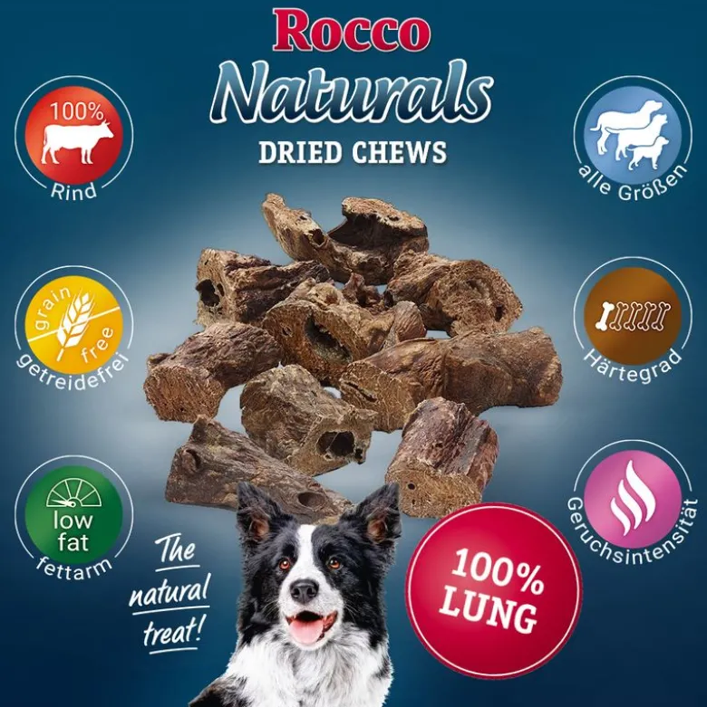 Rocco-naudankeuhko