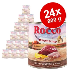 Rocco World Trip India