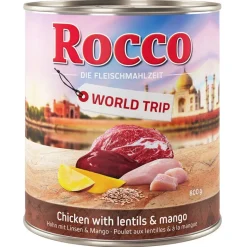 Rocco World Trip India