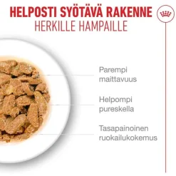 Royal Canin Ageing 11+ hyytelössä