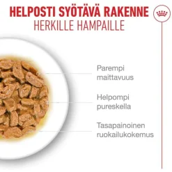 Royal Canin Ageing 15+ kastikkeessa