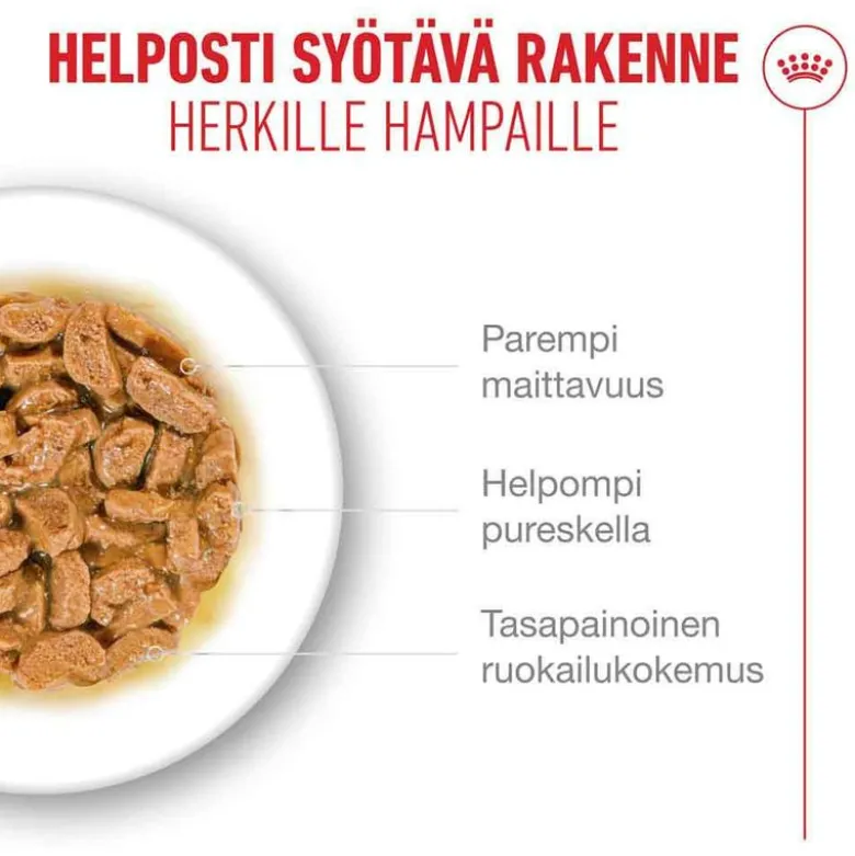 Royal Canin Ageing 15+ kastikkeessa