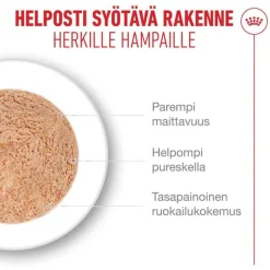 Royal Canin Ageing 11+ Mousse
