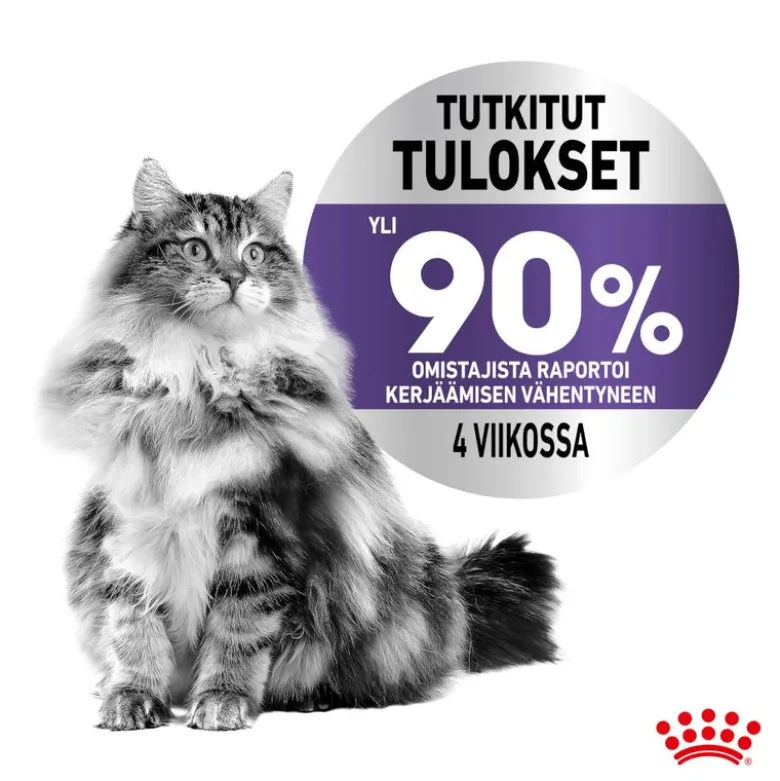 Royal Canin Appetite Control Care hyytelössä