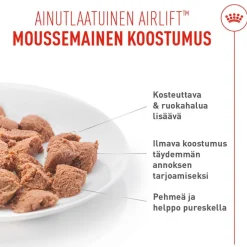 Royal Canin Appetite Control Care AirLift Mousse