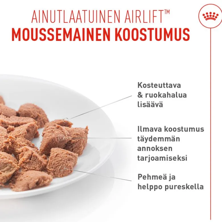 Royal Canin Appetite Control Care AirLift Mousse