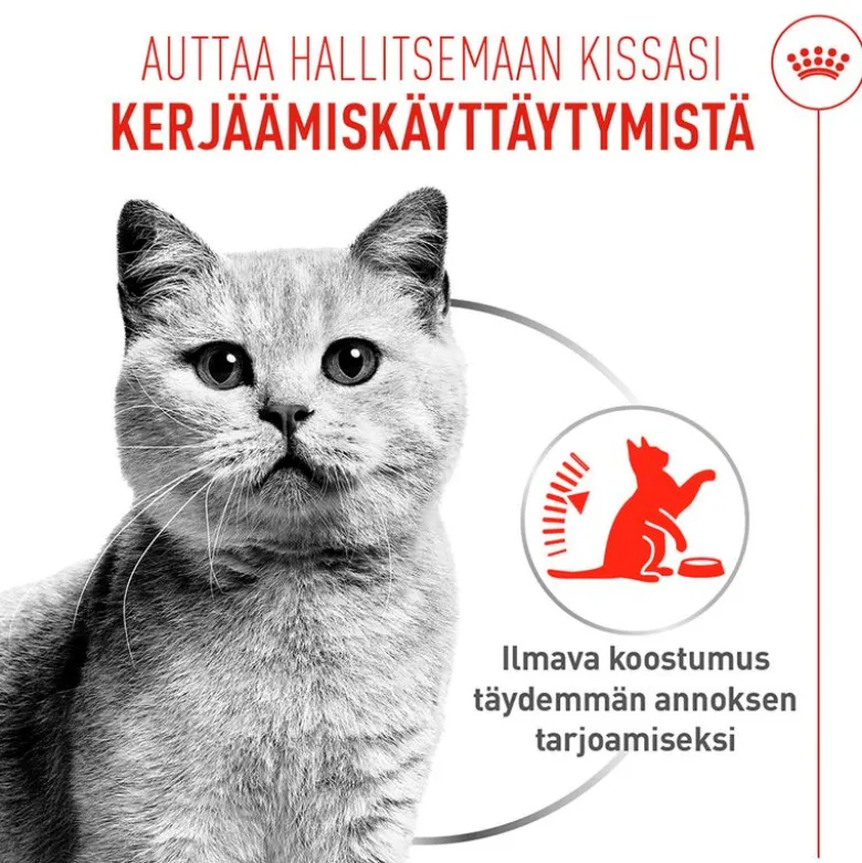 Royal Canin Appetite Control Care AirLift Mousse