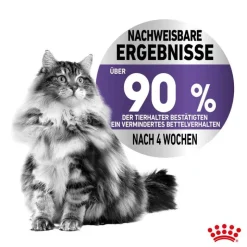 Royal Canin Appetite Control Care kastikkeessa
