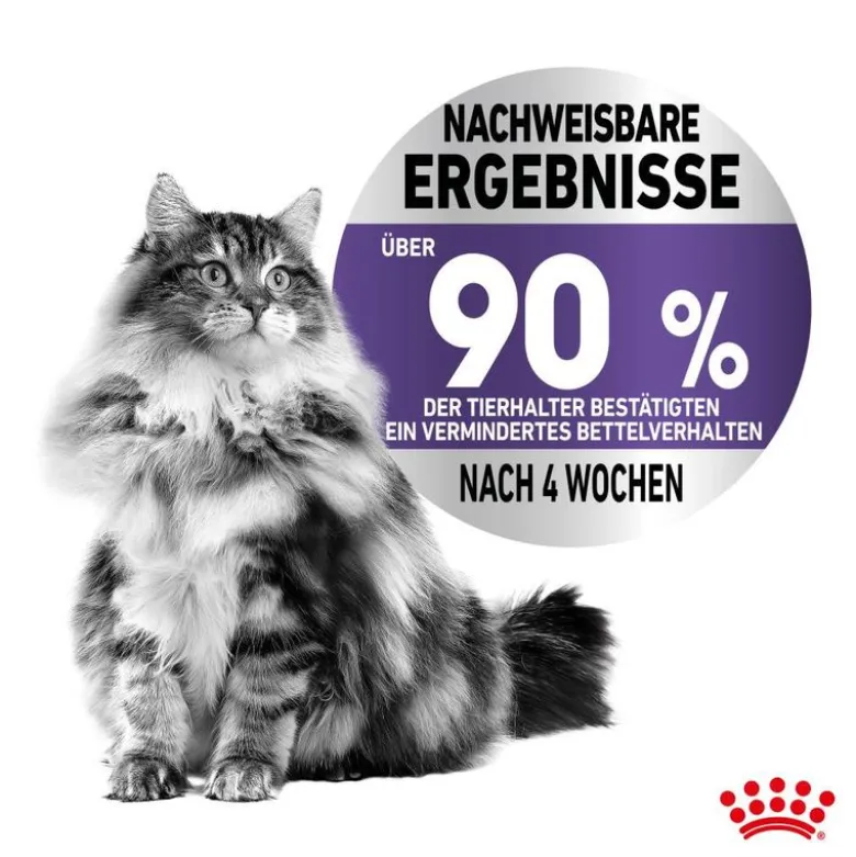 Royal Canin Appetite Control Care kastikkeessa