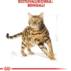 Royal Canin Bengal Adult