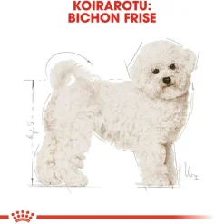 Royal Canin Bichon Frise Adult