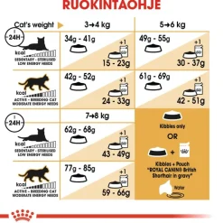 Royal Canin British Shorthair Adult