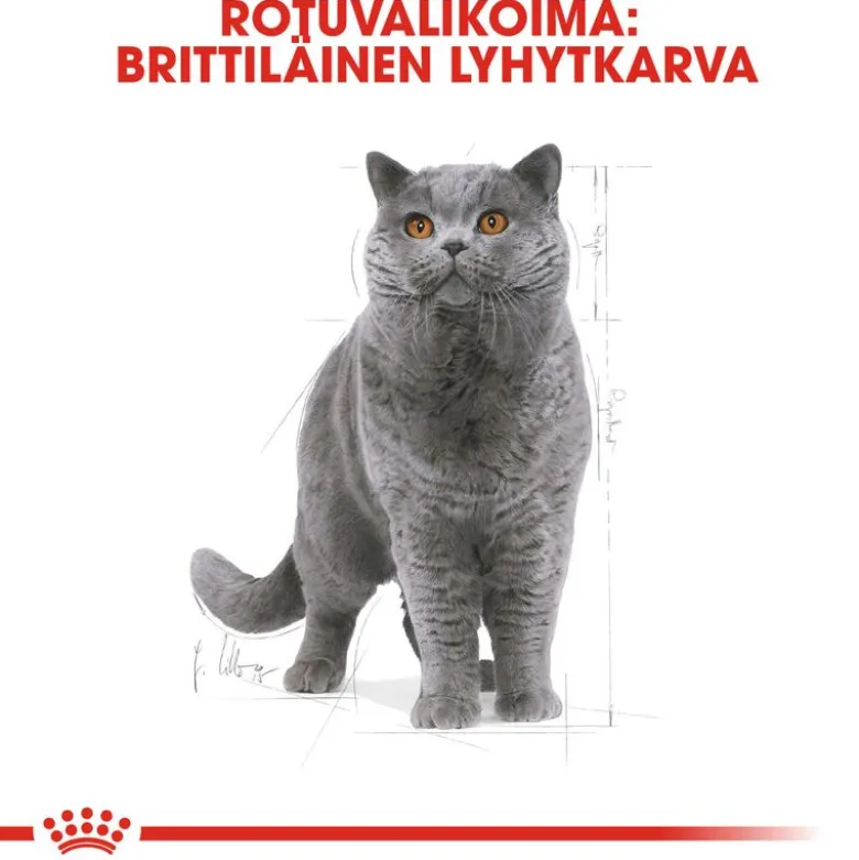 Royal Canin British Shorthair Adult